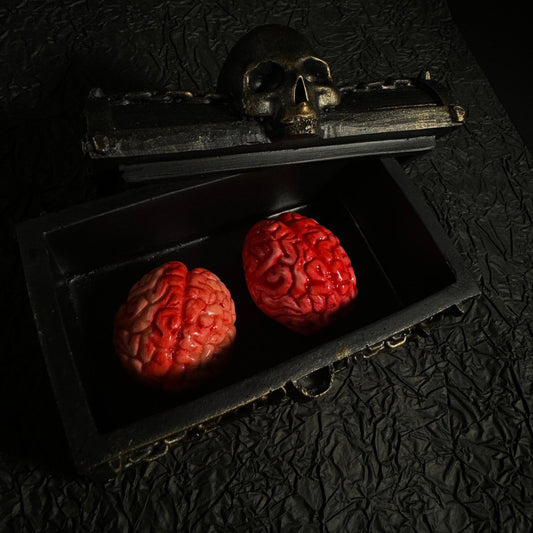 Handcrafted Realistic Human Brains, Brain Decorations, Weird collectibles